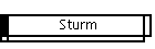 Sturm